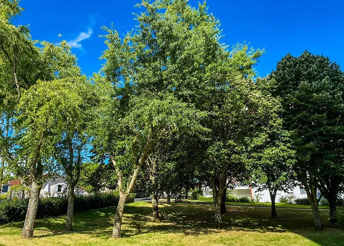 T3 Moderne Avec Balcon Terrasse Et Parking Gratuit
