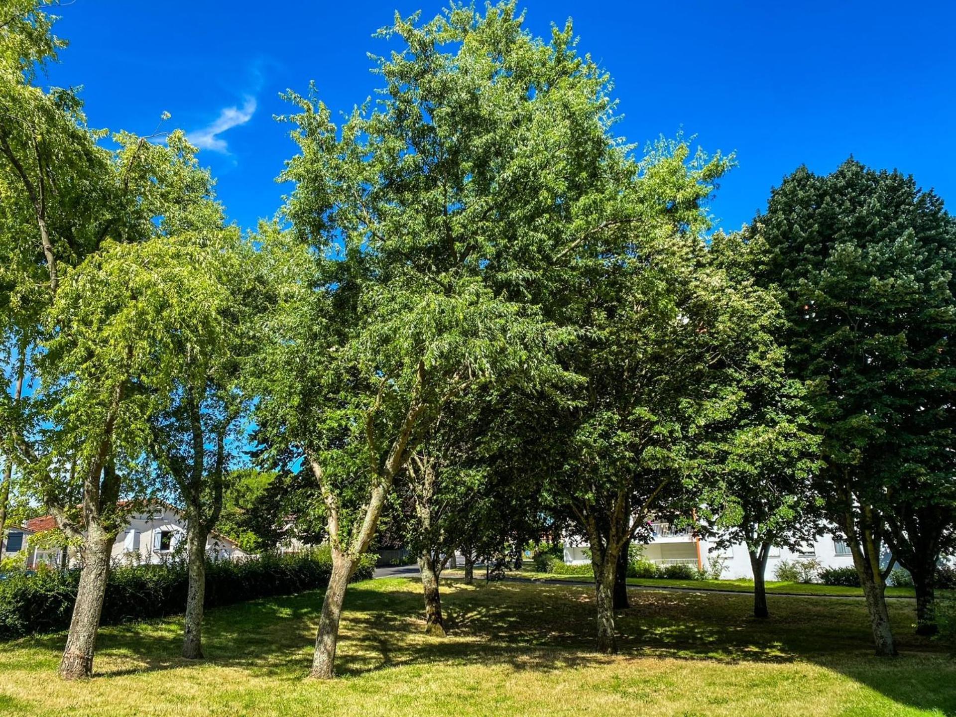 T3 Moderne Avec Balcon Terrasse Et Parking Gratuit *